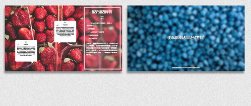 高清美食甜點烹飪電視節目AE模板 設計與下載全攻略